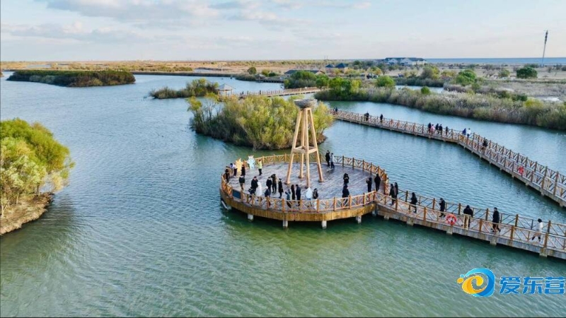 老将们不仅 老将们不仅