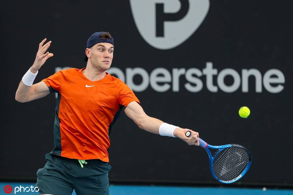 布朗尼却遗 布朗尼却遗